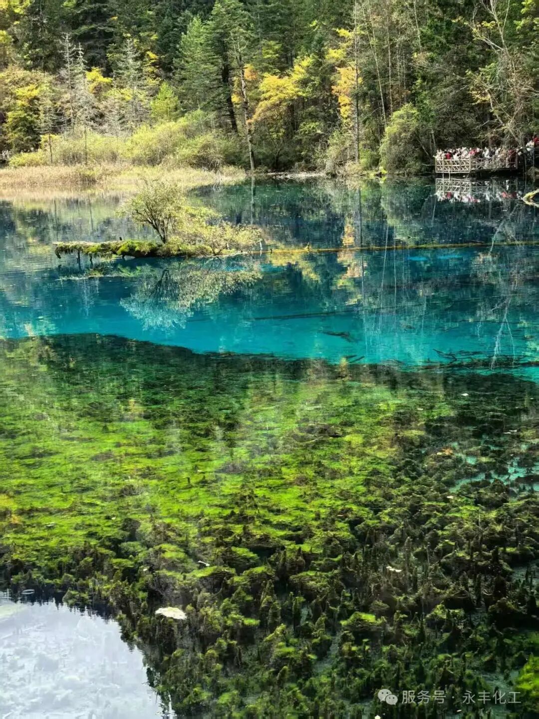 2025年10月九寨溝都江堰團(tuán)建之旅